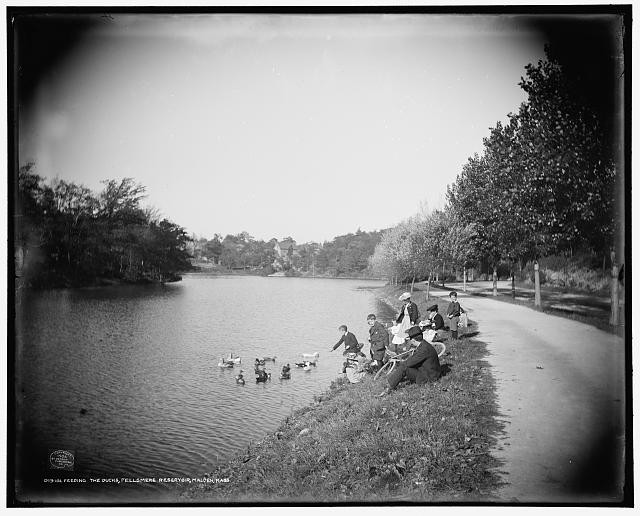 Malden Massachusetts Fellsmere Reservoir 1910s Feeding Ducks Children Park