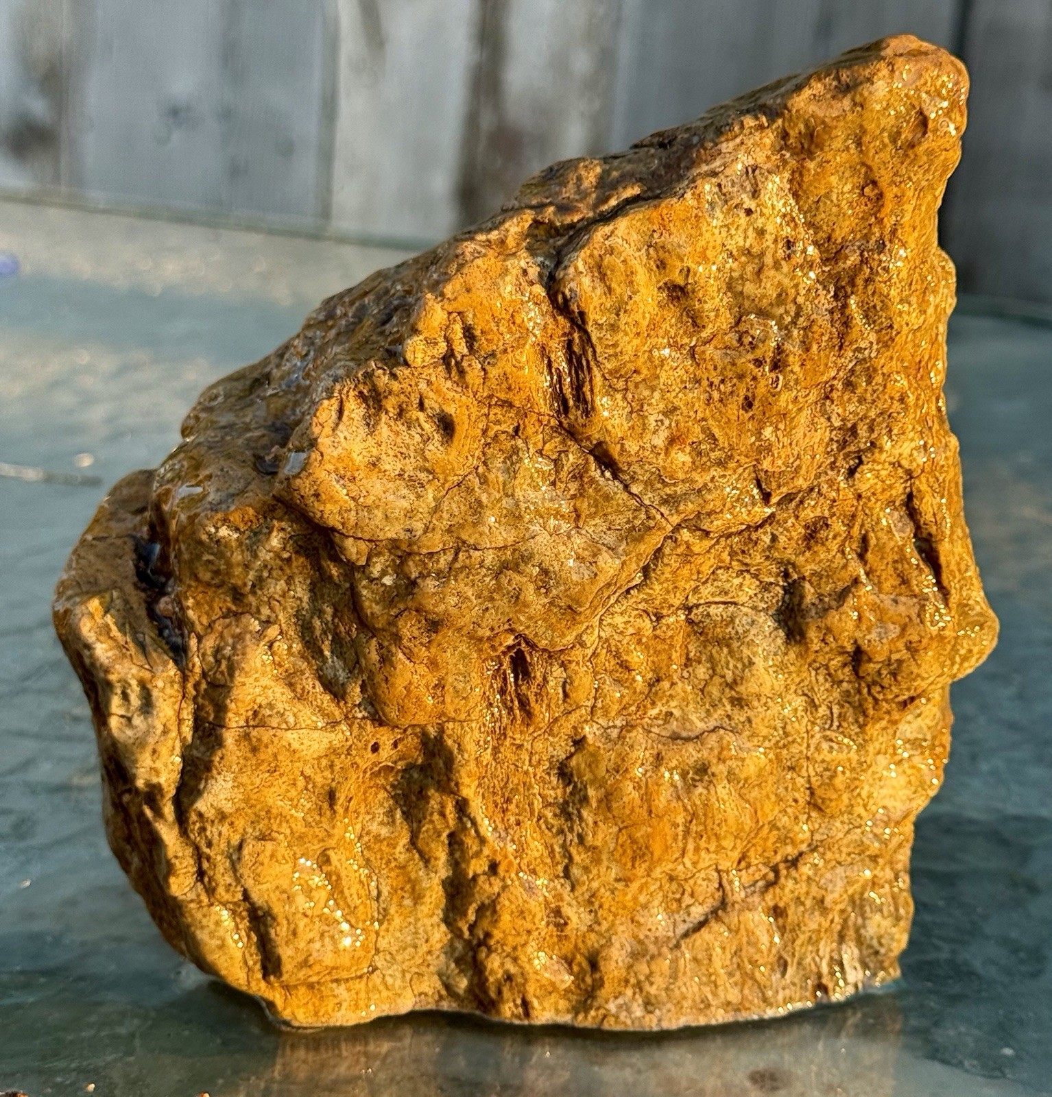 INDIAN PROFILE* 4# Fossil Burl Wood~Agatized~Rough Faced~Natural Shape~*UNIQUE INDIAN PROFILE* 4# Fossil Burl Wood~Agatized~Rough Faced~Natural Shape~*UNIQUE