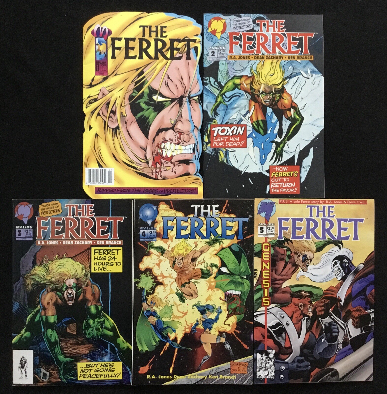The Ferret 1-9 & The Protectors 1-13 & Variant 1 Malibu Comics