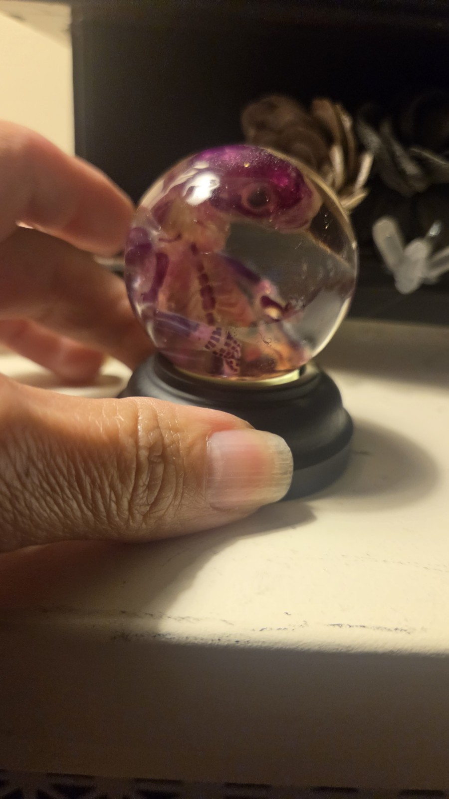 Diaphonized Fetal Opossum In A Globe.
