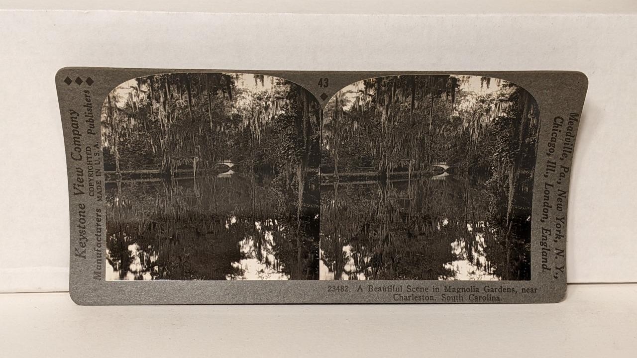 a047, Keystone Stereoview, Magnolia Gardens, Charleston, SC, 43-23482, 1930s