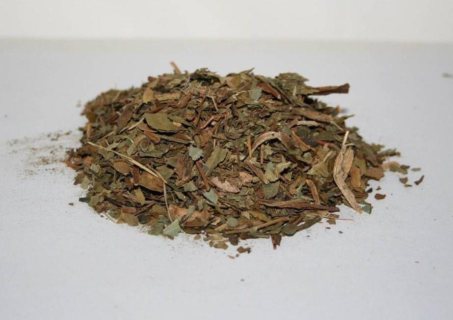 DEER TONGUE LEAF Dried Native American Botanical Herb 1 Ounce Pack DEER TONGUE LEAF Dried Native American Botanical Herb 1 Ounce Pack