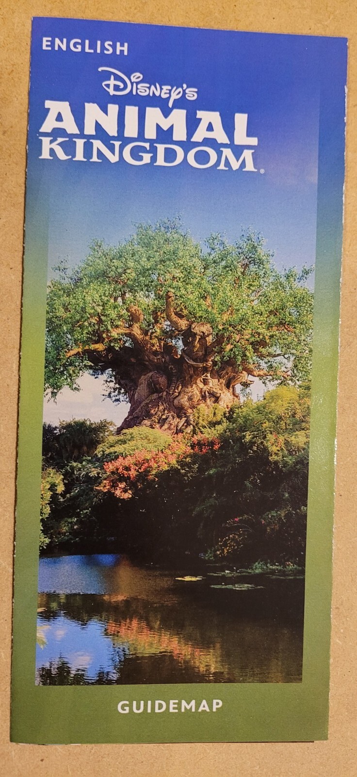 NEW 2023 Walt Disney World Disney\'s Animal Kingdom Theme Park Map ENGLISH 031823