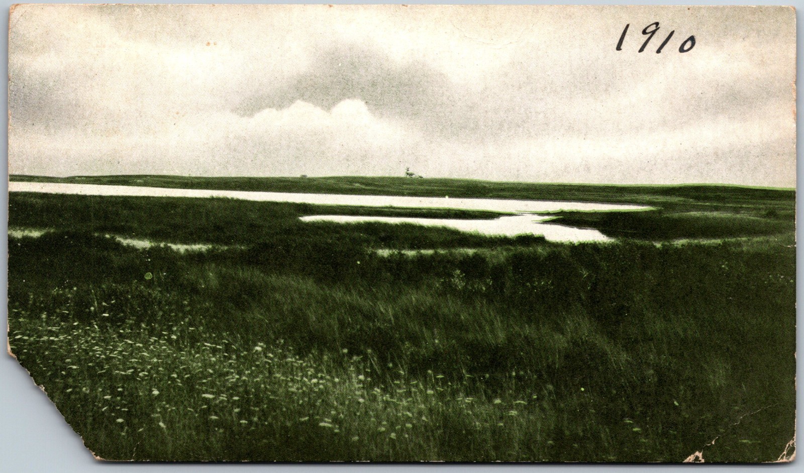 Sacacha Pond and Sankaty Nantucket Island MA 1910 Postcard 2357 Sacacha Pond and Sankaty Nantucket Island MA 1910 Postcard 2357