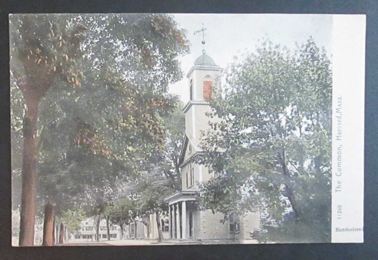 The Common Harvard MA Unposted Rotograph UDB Postcard
