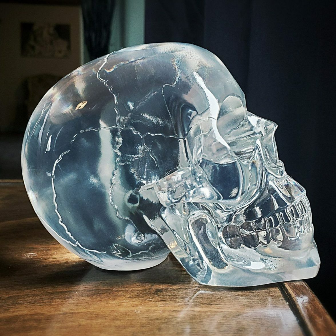 Translucent Human Clear Skull, Resin Crystal Skull, Oddities, Gothic Decor Translucent Human Clear Skull, Resin Crystal Skull, Oddities, Gothic Decor