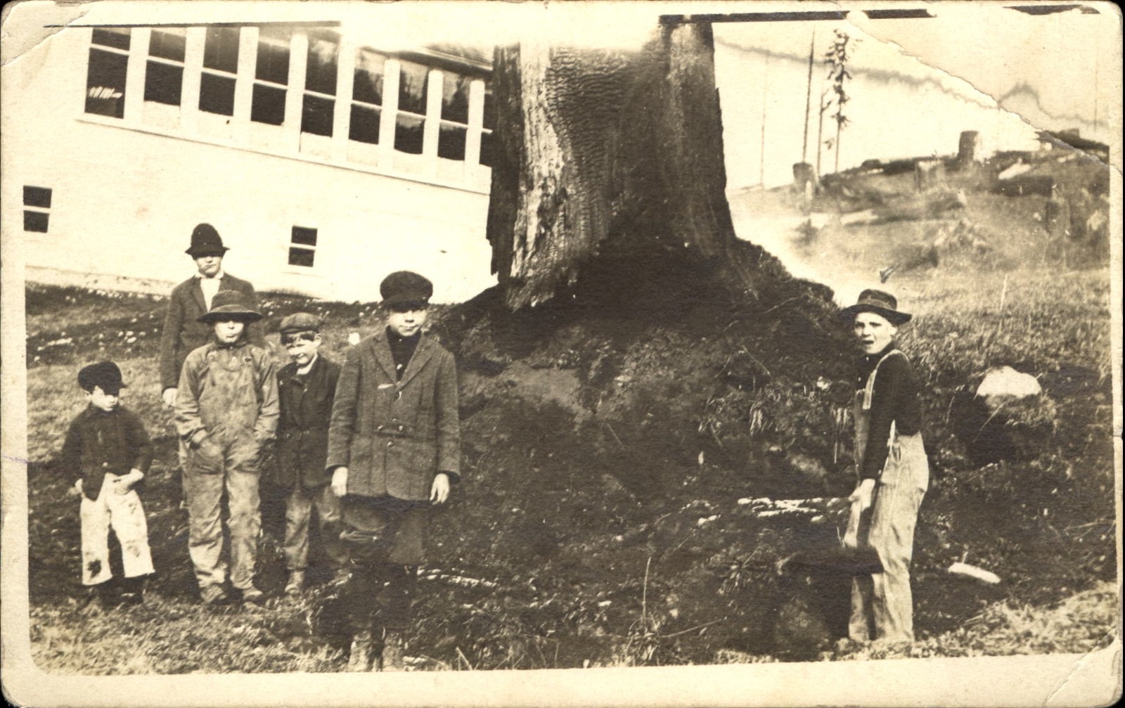 Boys clearing land? RPPC real photo AZO 1904-1918 ~ MYSTIC written on back Boys clearing land? RPPC real photo AZO 1904-1918 ~ MYSTIC written on back