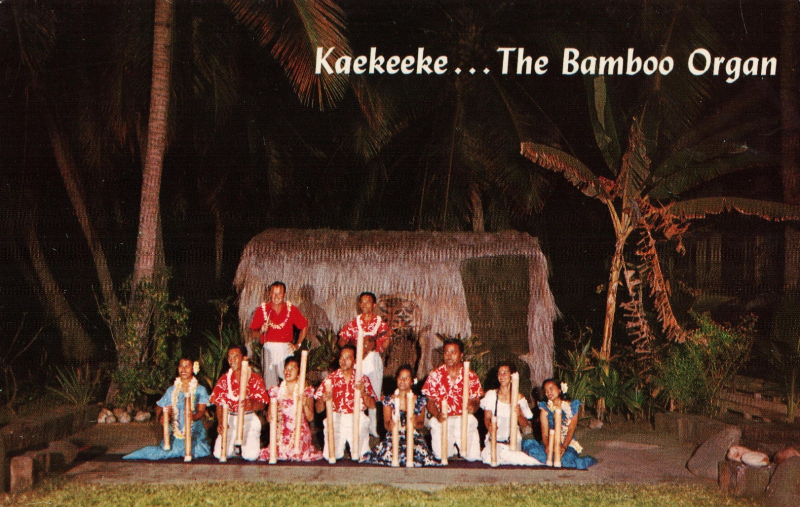 Postcard Hawaii Kaekeeke The Bamboo Organ Pipes c1975 Kona Inn Postcard Hawaii Kaekeeke The Bamboo Organ Pipes c1975 Kona Inn