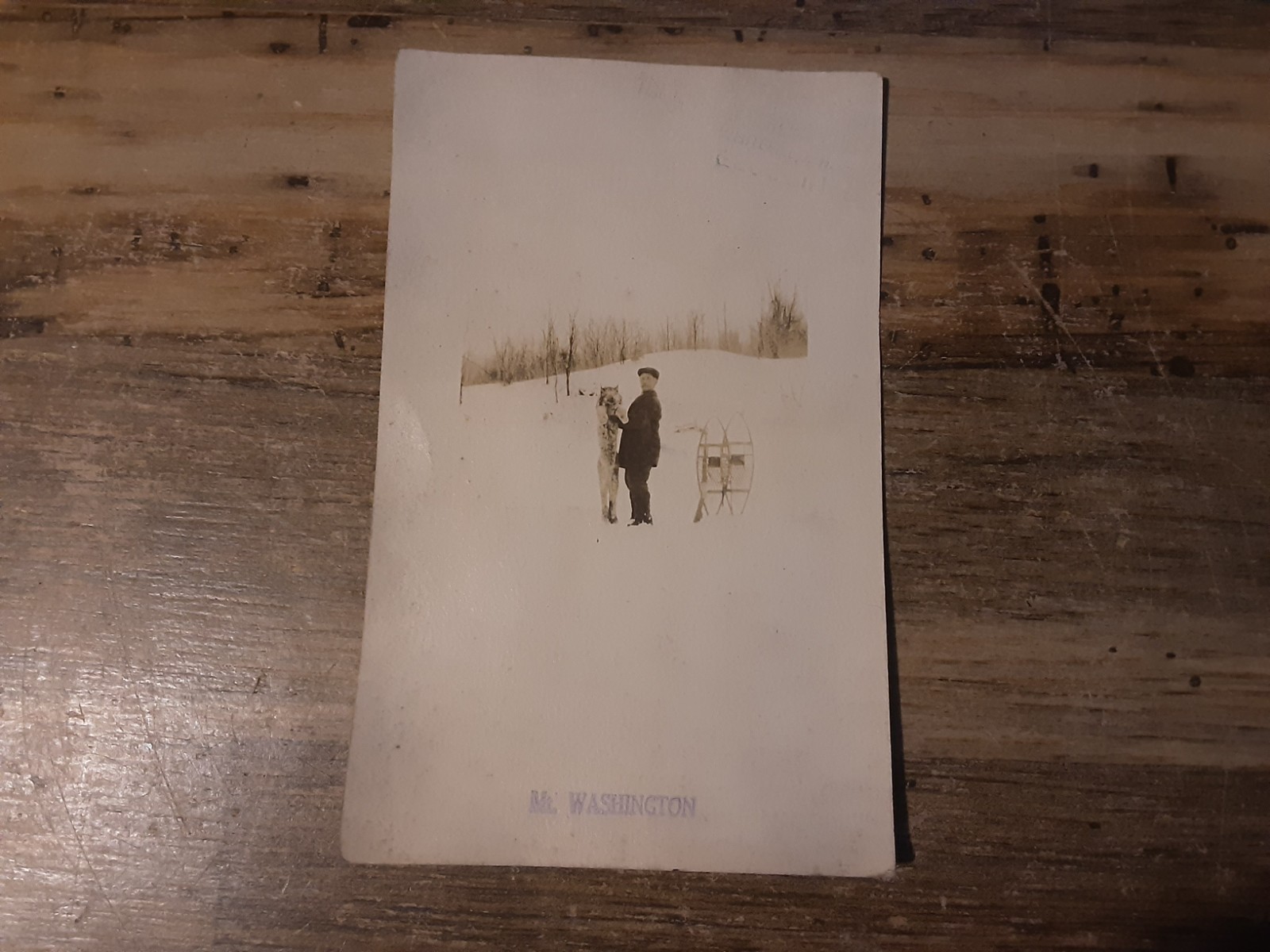 VINTAGE RPPC MT. WASHINGTON HUNTER TRAPPER WITH BIG CAT AND SNOWSHOES POSTCARD 