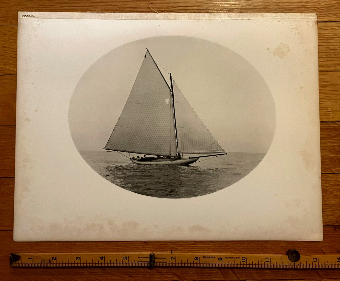 Antique 1890's Photo Print Classic Yacht FREAK WB Smith shipyard Boston J Paine