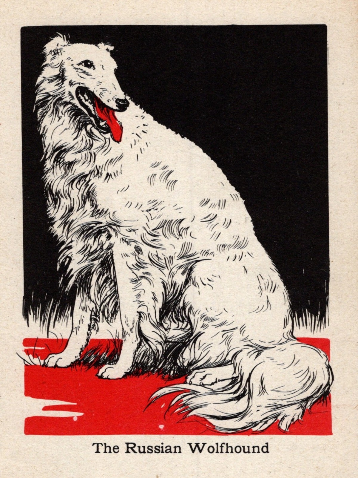 1940 Antique Borzoi Print Vintage Diana Thorne Russian Wolfhound Dog Art 6202a 1940 Antique Borzoi Print Vintage Diana Thorne Russian Wolfhound Dog Art 6202a