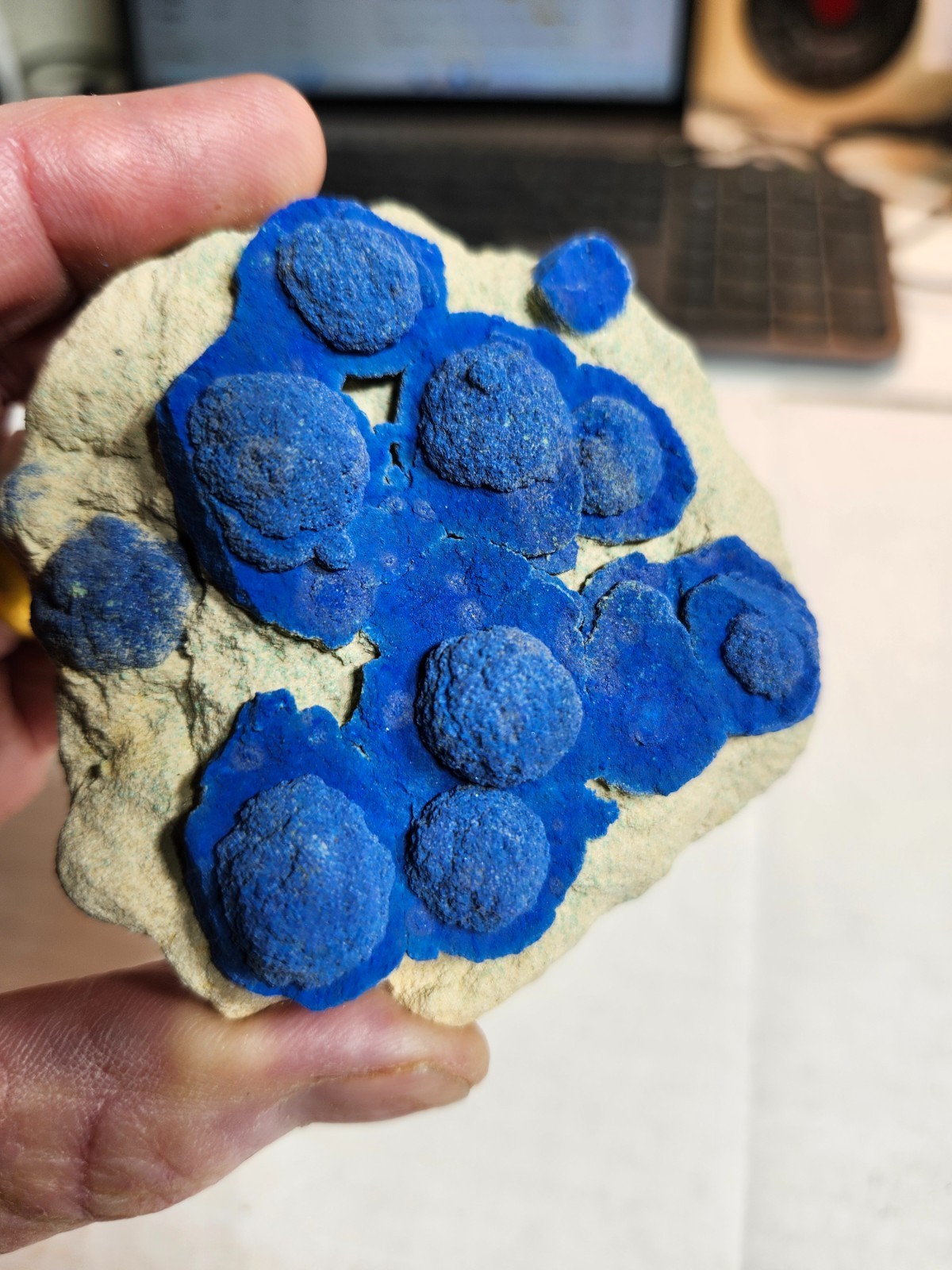 Azurite Florets, Lost Lake Claim, Nacimiento Mine, Cuba, New Mexico.