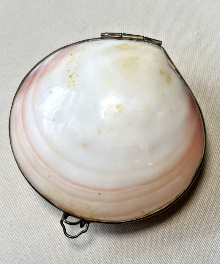 Antique Victorian Clam Shell Hinged Trinket Box Snuff Pill Case Abalone Z