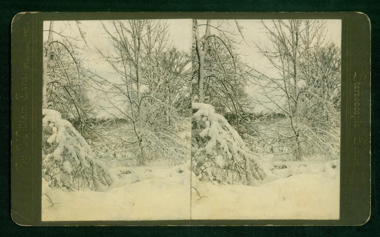 a797, William Cant Stereoview, # -, Winter Scene - Snow, Boston, Mass., 1870\'s