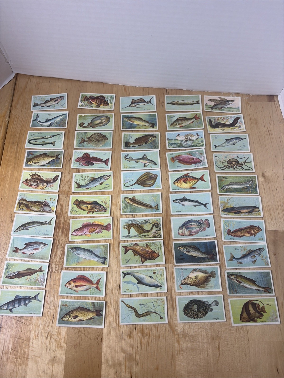 1923 IMPERIAL TABACCO CANADA “FISHS OF THE WORLD “ Cigarette Cards 50/50 1923 IMPERIAL TABACCO CANADA “FISHS OF THE WORLD “ Cigarette Cards 50/50