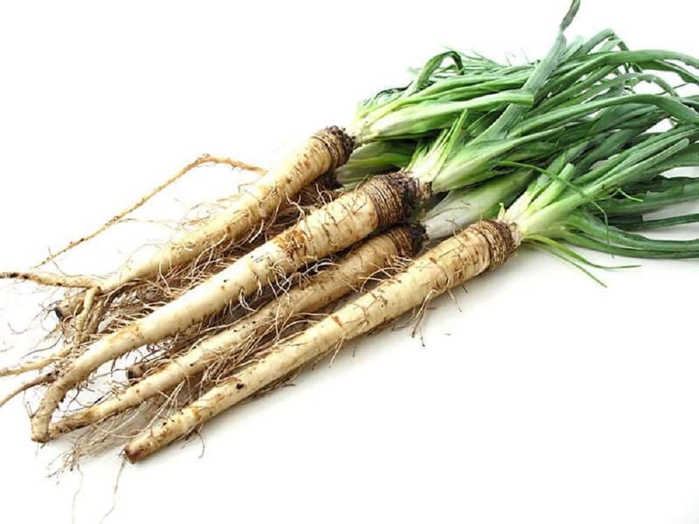 Salsify Seeds - 50 Count Pack, Non-GMO Root Vegetable with Edible Leaves