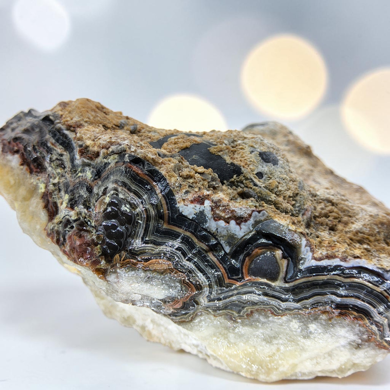 Laguna Lace Agate, 2.5 lbs, cabbing rough, black, #R-7218