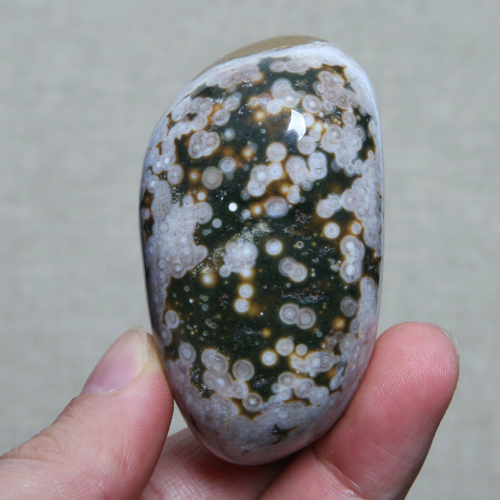 B5623-166g Amazing Natural Orbicular Ocean Jasper Agate Crystal Reiki Stone
