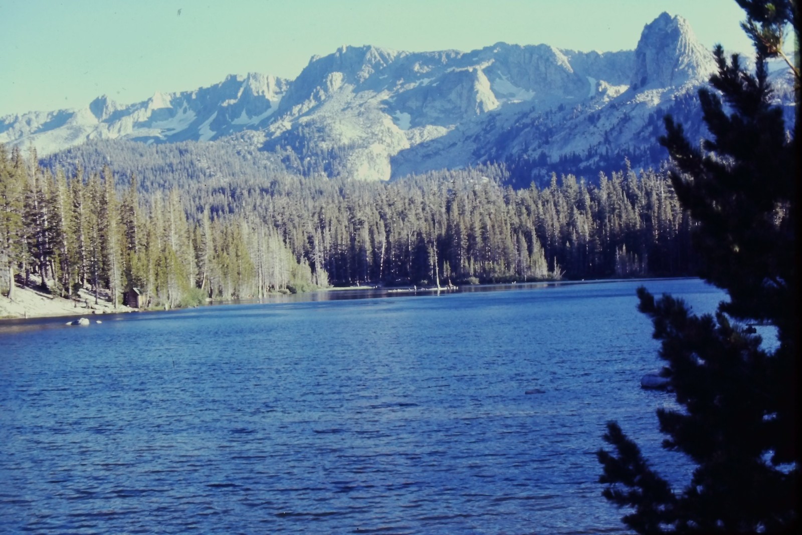 c1960's Kodachrome 35mm Slide, Sierra Nevada Mountains Lake Pine Trees alpine c1960's Kodachrome 35mm Slide, Sierra Nevada Mountains Lake Pine Trees alpine