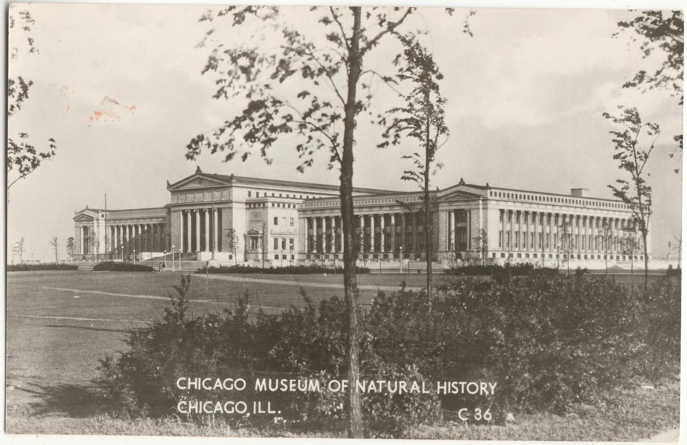 Chicago, IL - Museum - RPPC Chicago, IL - Museum - RPPC
