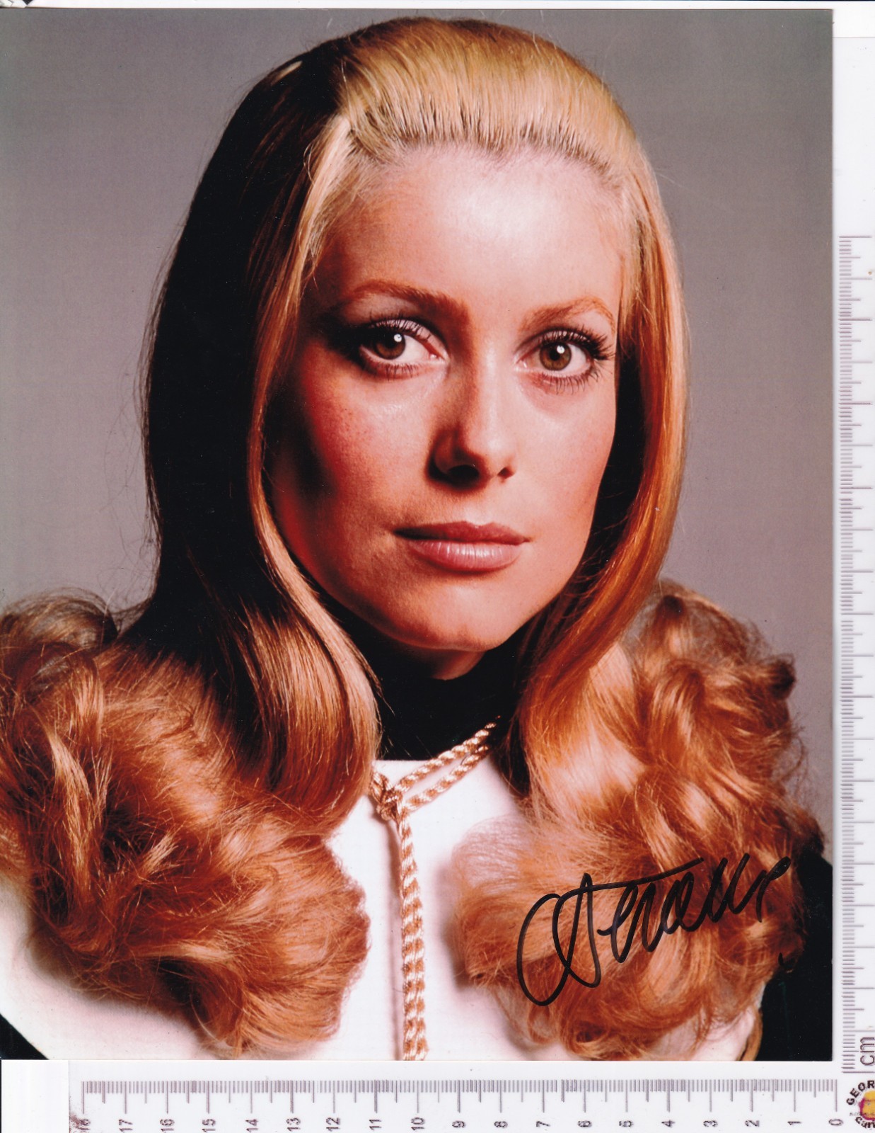 Young Catherine Deneuve French Actress Autograph Signed 10x8 Colour Photo Young Catherine Deneuve French Actress Autograph Signed 10x8 Colour Photo