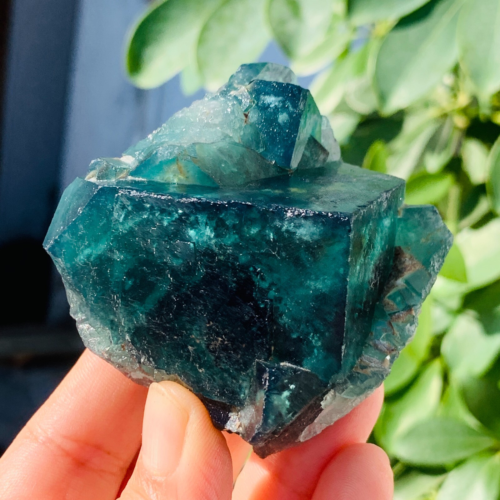299g Rare Transparent Green Cube Fluorite Mineral Crystal Specimen Healing
