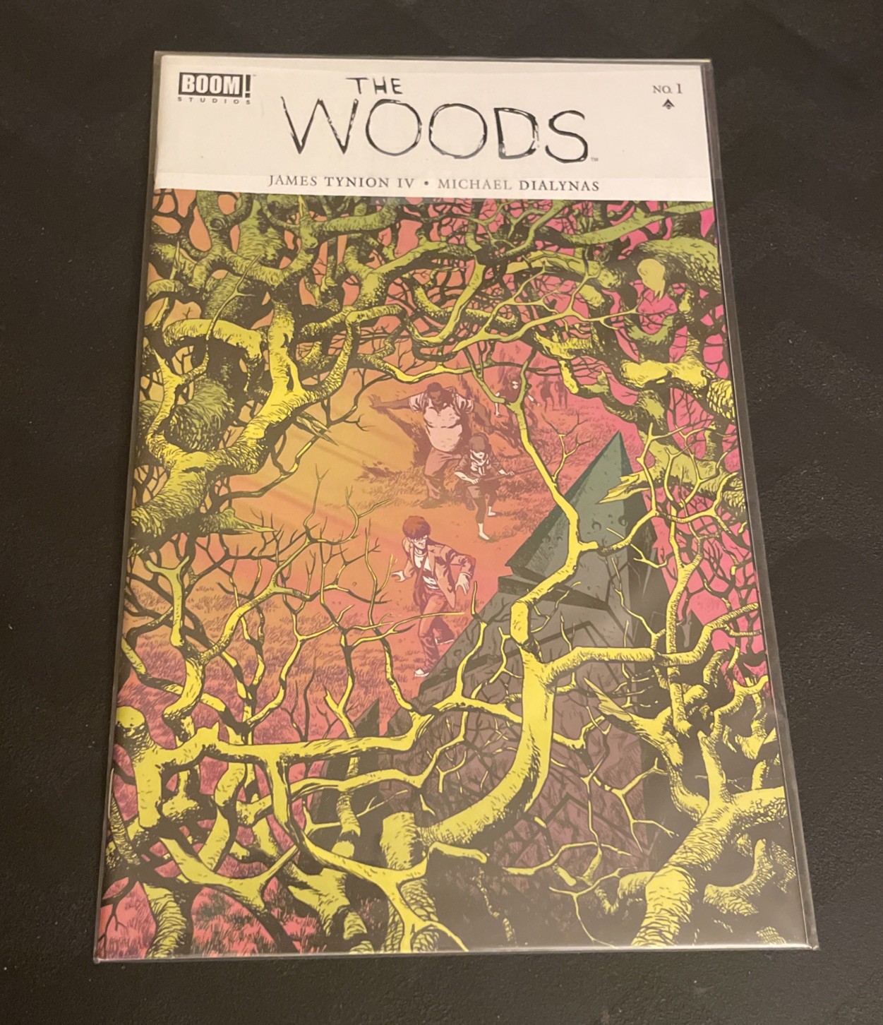 The Woods #1 (2014) James Tynion Ramon Perez Cover Optioned Netflix The Woods #1 (2014) James Tynion Ramon Perez Cover Optioned Netflix