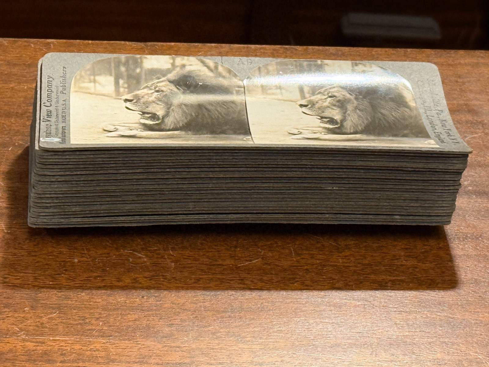 Lot of 25 Keystone ANIMAL views Lot of 25 Keystone ANIMAL views