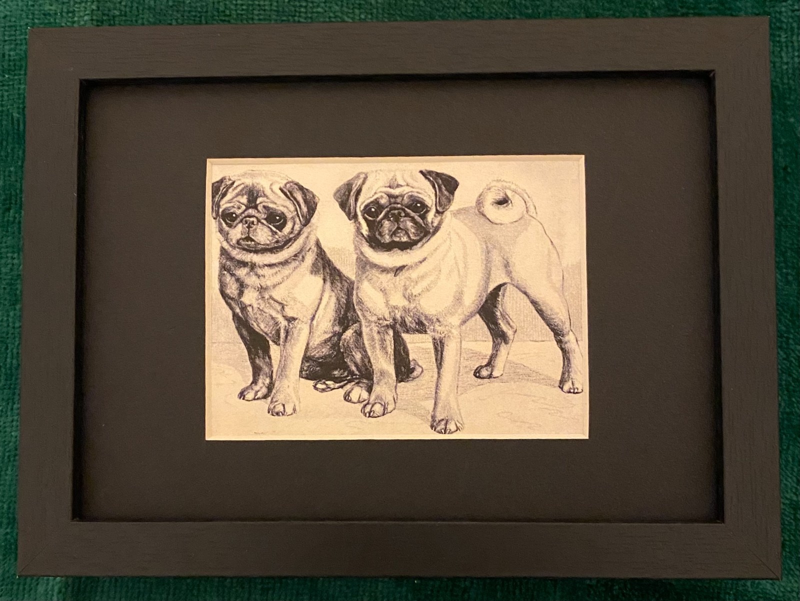 Pug MATTED | FRAMED | READY TO GIFT - 1986 Vintage Dog Art Print Pug MATTED | FRAMED | READY TO GIFT - 1986 Vintage Dog Art Print