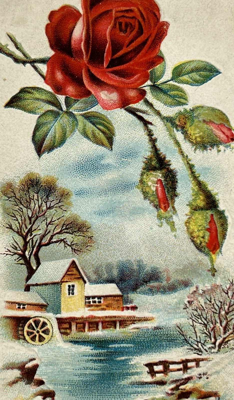 \