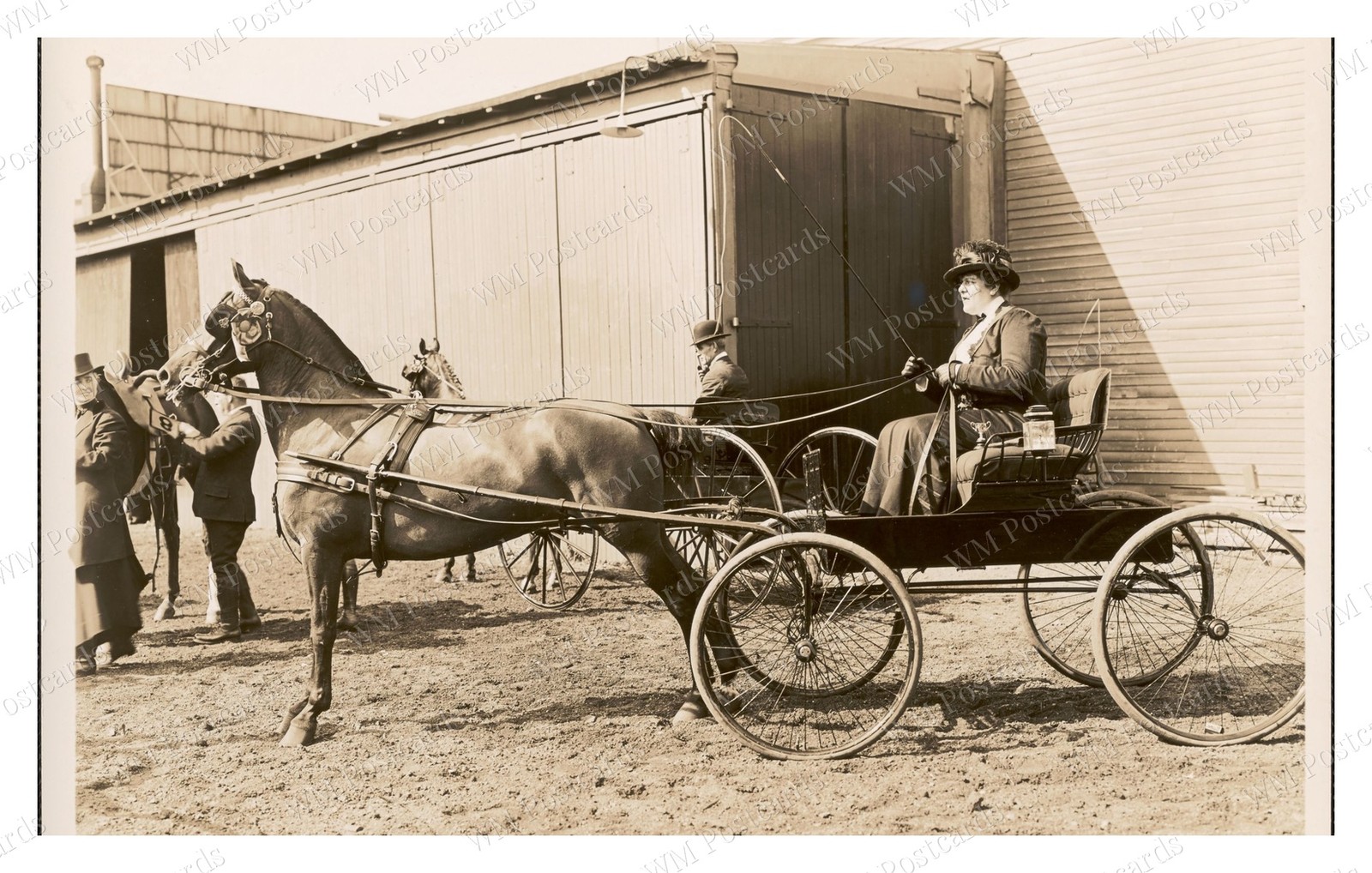 Brookline Massachusetts 1913-1914 Riding School Horse Buggy Standard Postcard Brookline Massachusetts 1913-1914 Riding School Horse Buggy Standard Postcard