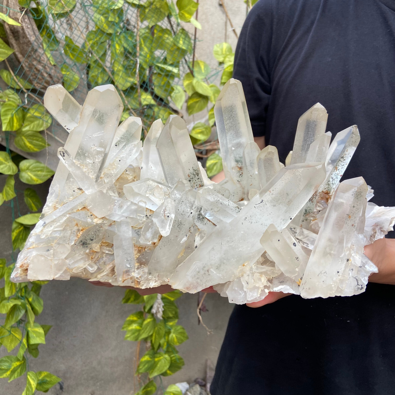 18.5lb A+Large Natural clear white Crystal Himalayan quartz cluster /mineralsls