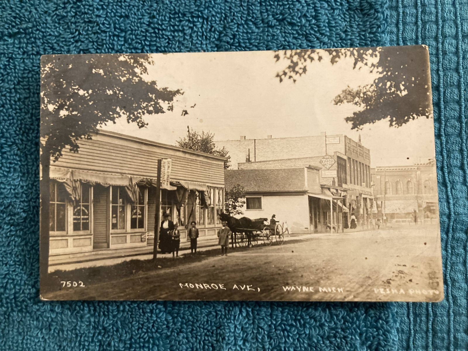 RPPC Wayne Michigan Monroe Ave Posted c1910 Pesha Photo RPPC Wayne Michigan Monroe Ave Posted c1910 Pesha Photo