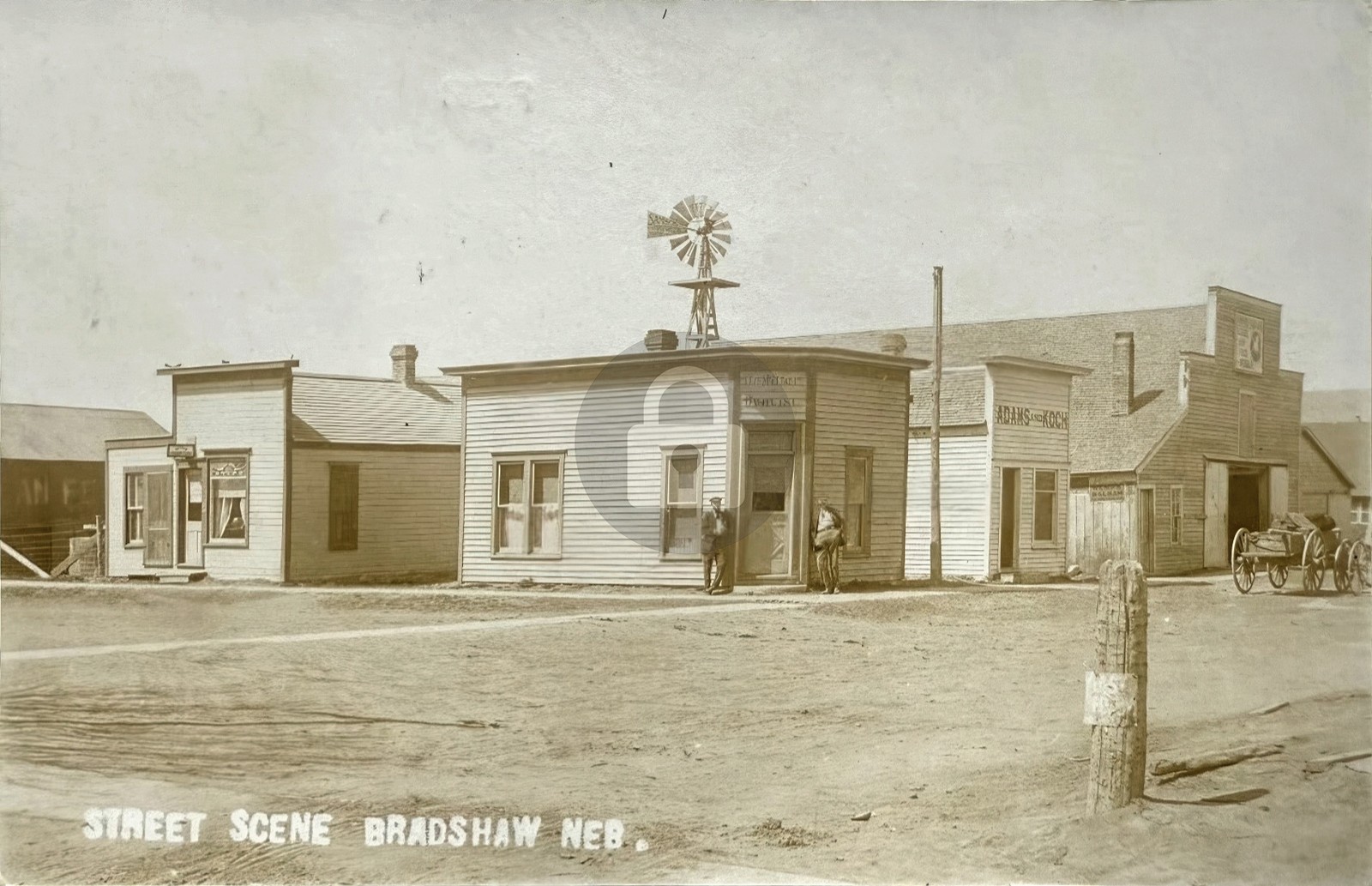 Bradshaw NE Street Scene Dentist Livery Windmill 1909 Photo RPPC Postcard COPY