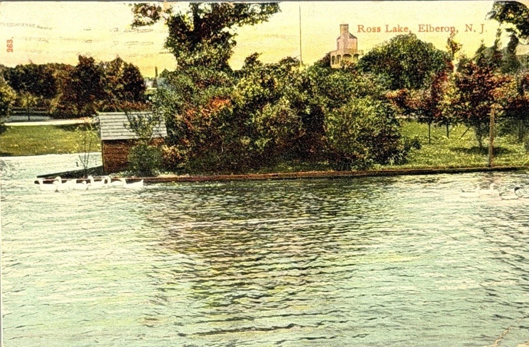 Vintage Postcard Ross Lake Elberon New Jersey NJ Boat House Swans 1900s View