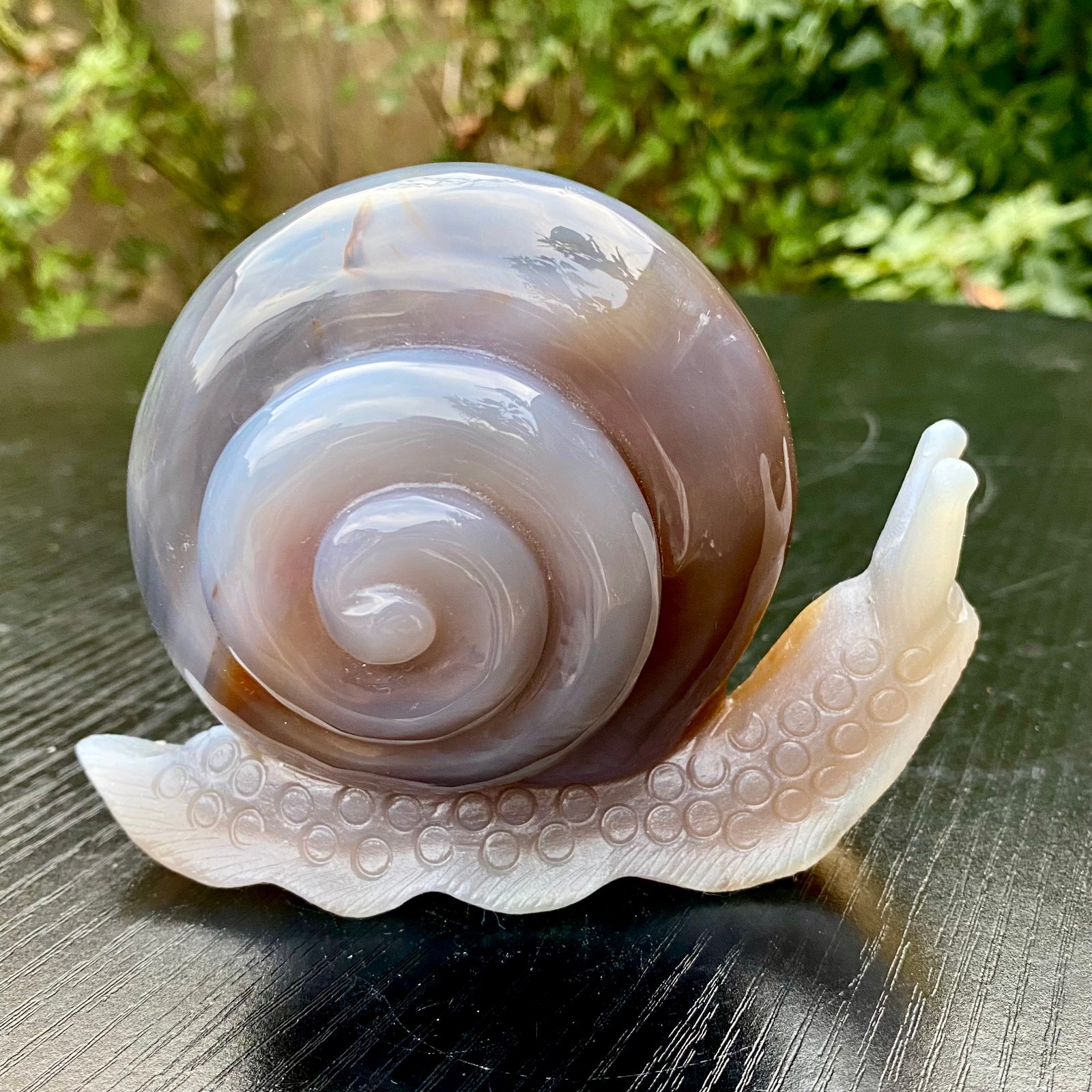 1.3LB  Natural Purple Agate Geode Snail Carving Crystal Animal Statue Home