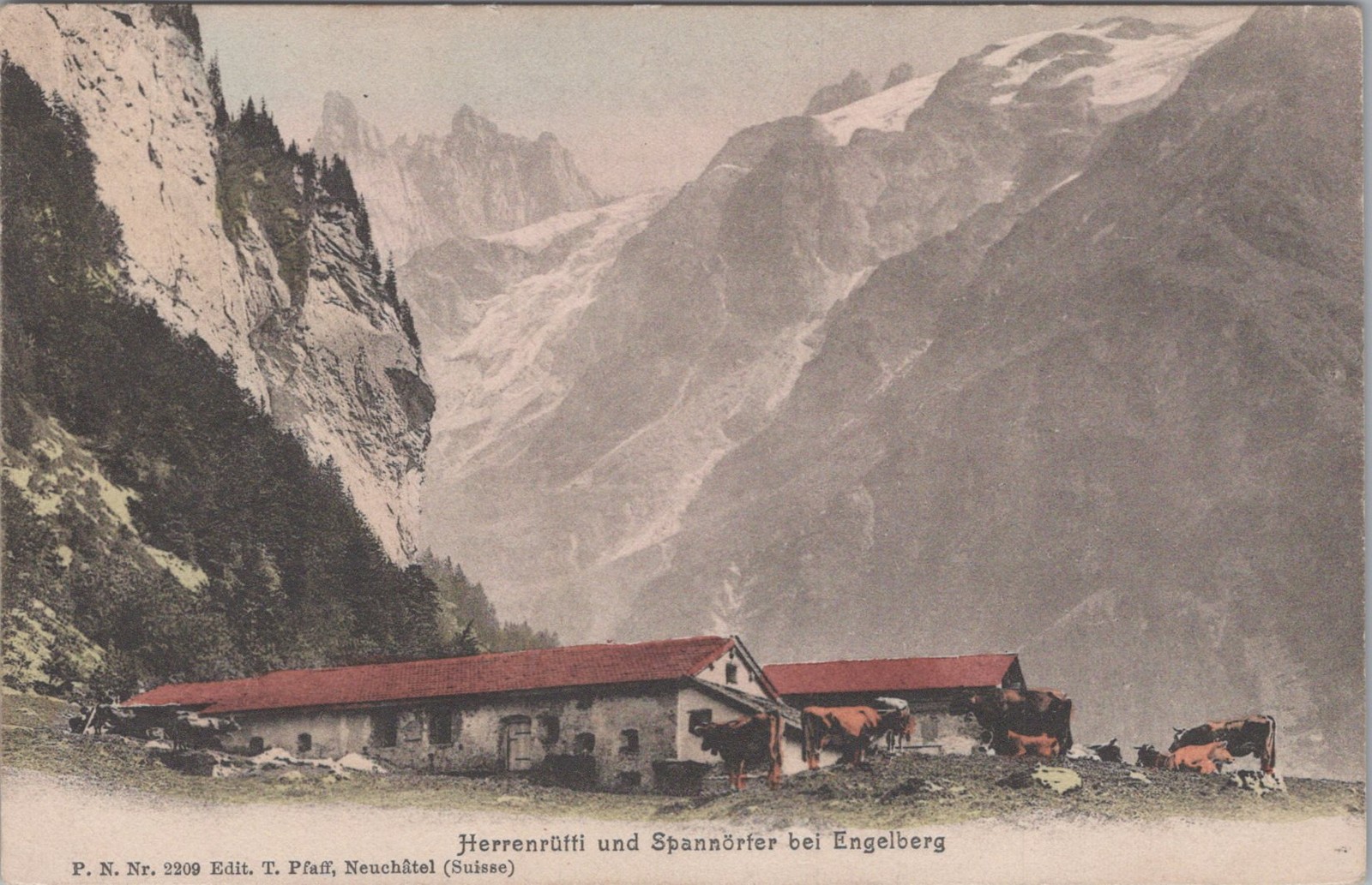 Herrenrütti Und Spannnörfer Bei Engelberg 1900s Swiss Alps Postcard