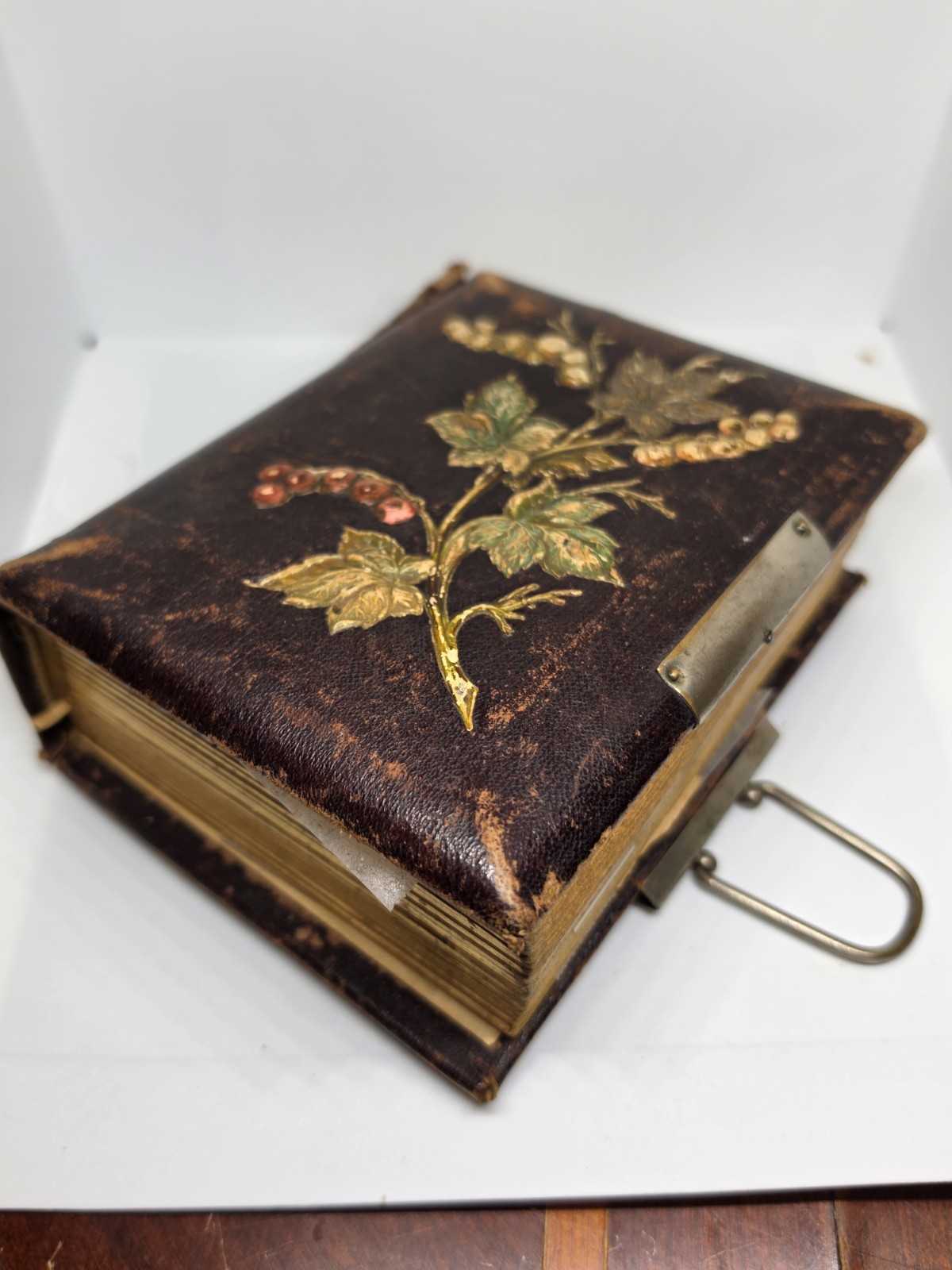 1860s Immigrant Family Photo Album Rare Cuba Havana CDV Sweden Munich St Louis