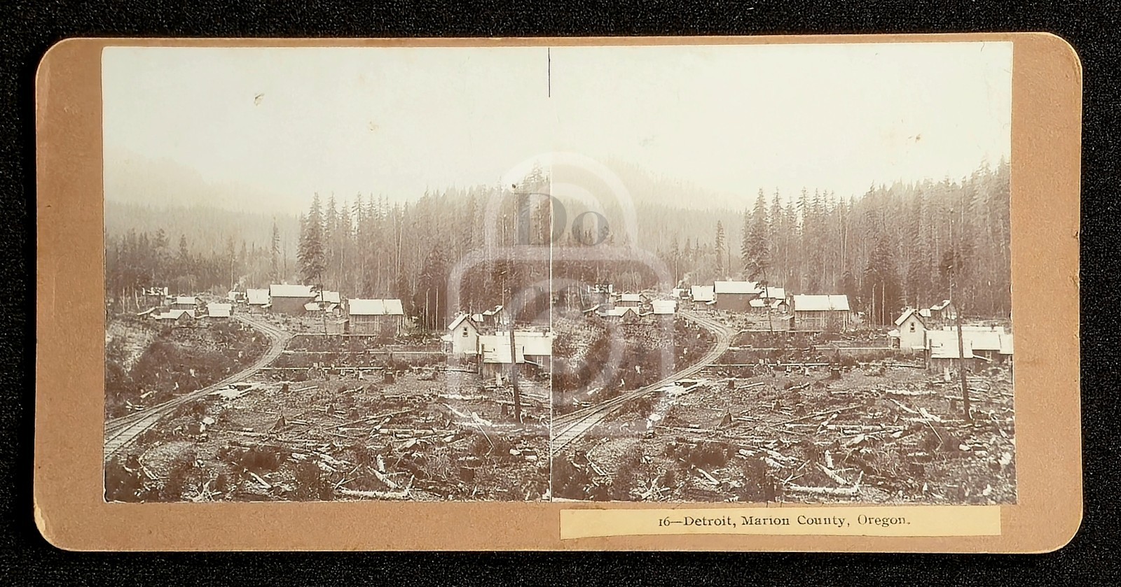 Incredible Stereoview of Detroit, Oregon. C 1890's Marion County.