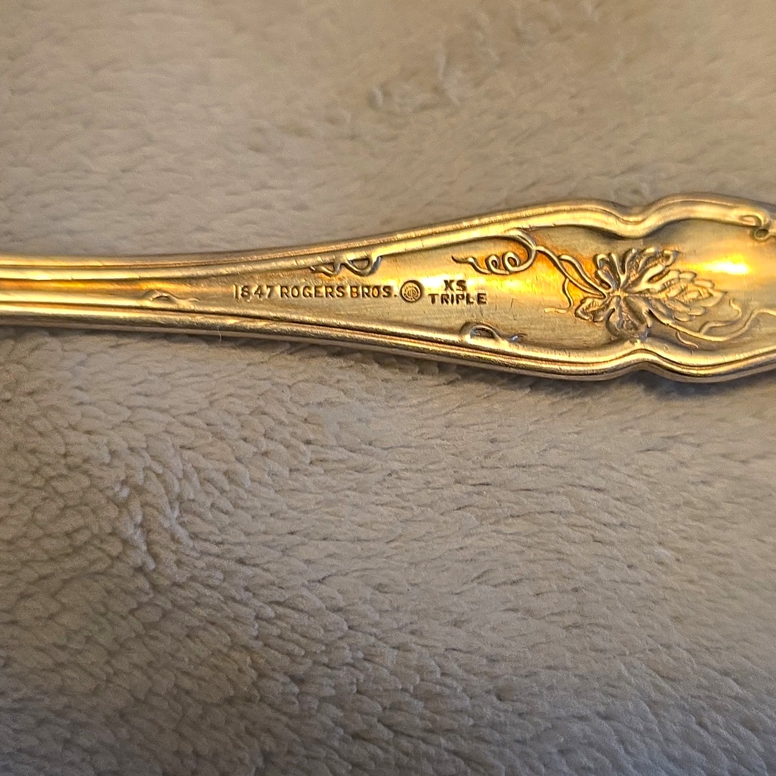 1847 Rogers Bros XS TRIPLE Silverplate Ladle, Engraved Grape Pattern