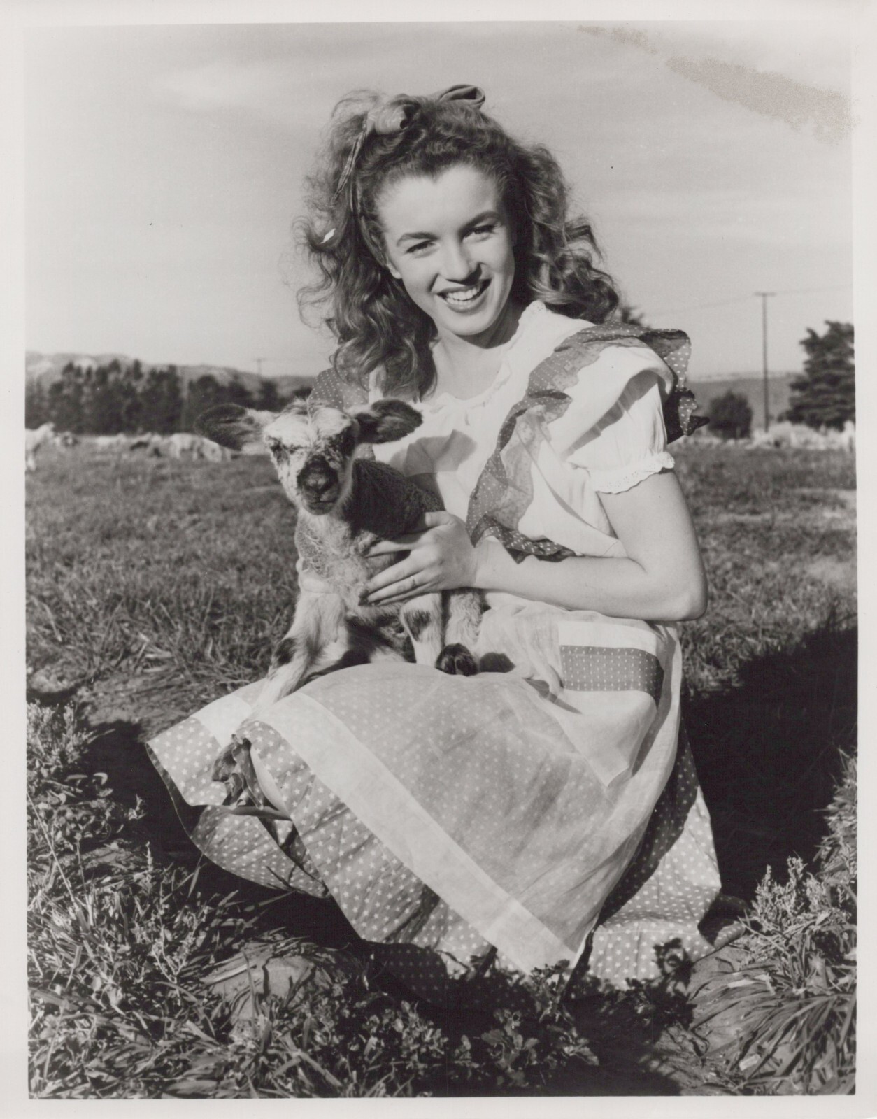 Hollywood Beauty MARILYN MONROE 1970s ANDRE DIENES STUNNING PORTRAIT Photo 703 Hollywood Beauty MARILYN MONROE 1970s ANDRE DIENES STUNNING PORTRAIT Photo 703