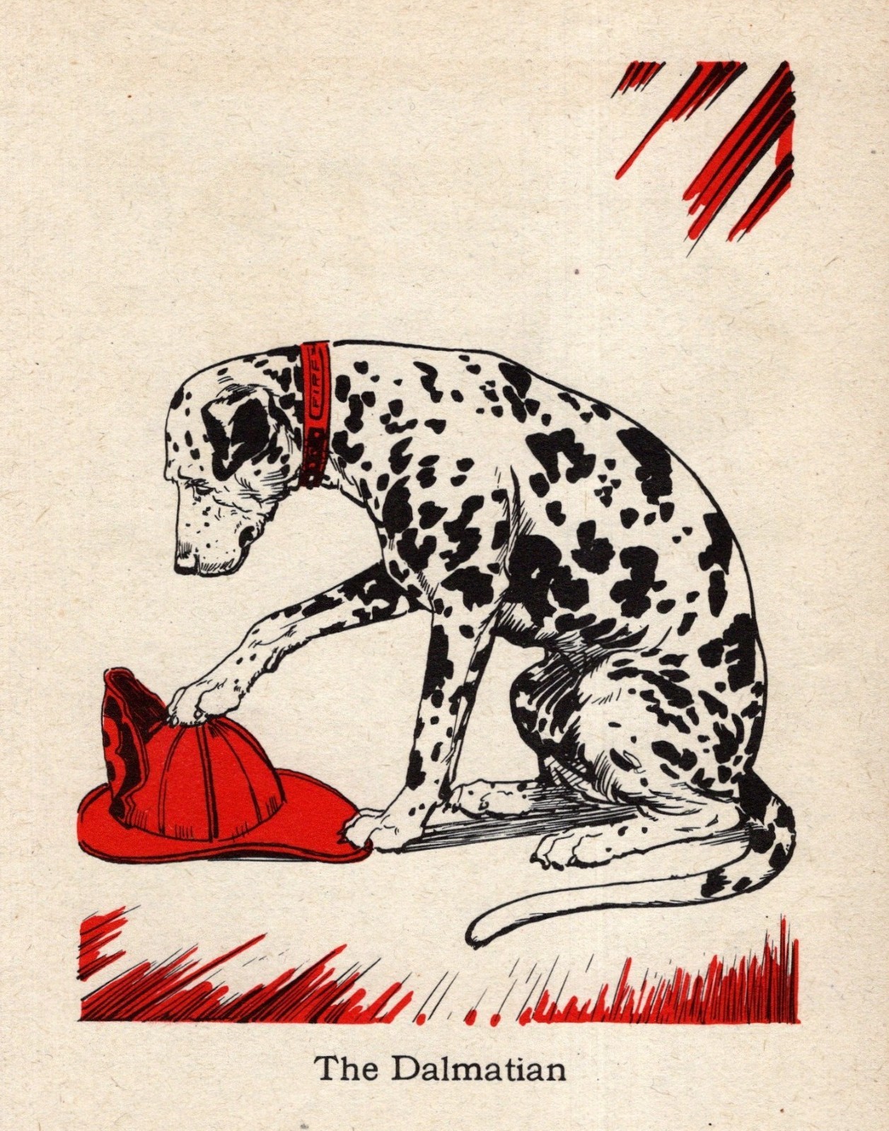 Sweet Vintage Dalmatian Print 1940 Diana Thorne Dalmatian Wall Art 6467c