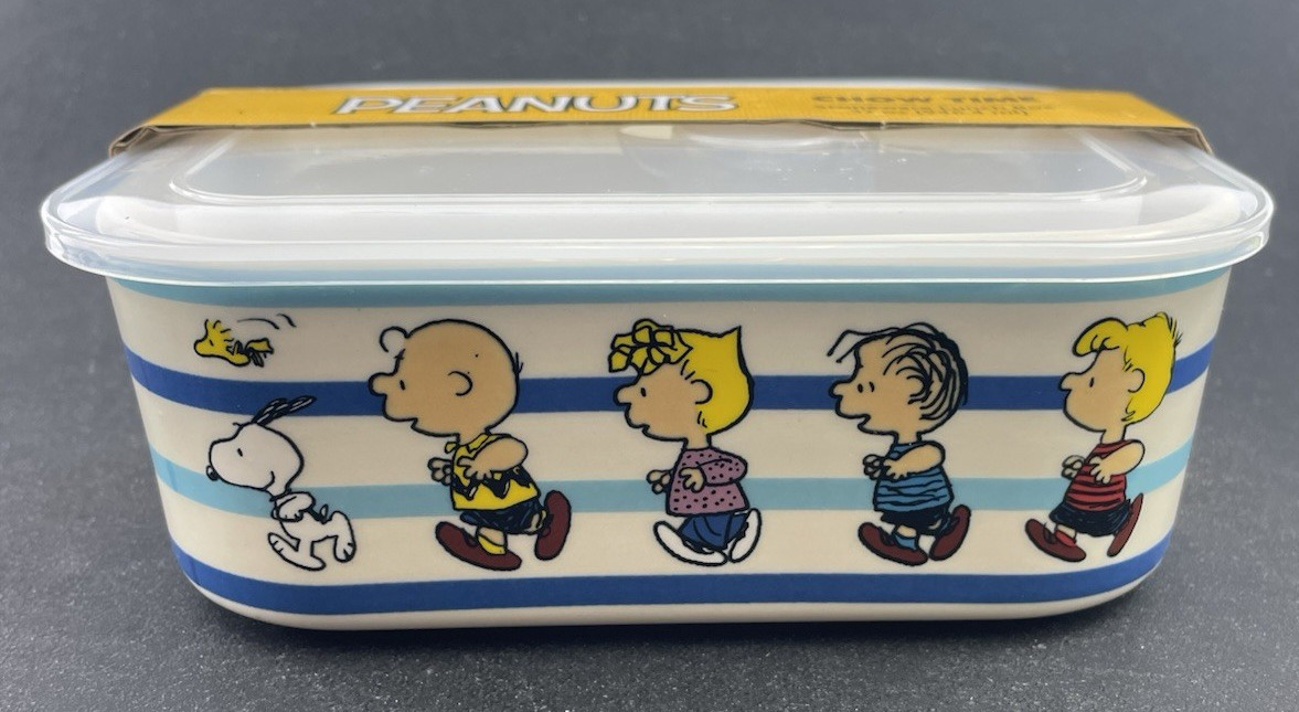 GIBSON Snoopy & Peanuts Gang Vented Food Storage 7