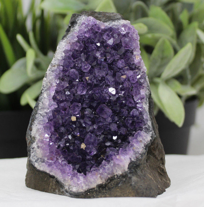 HUGE Uruguayan Amethyst Cut Base Clusters 1–1.8 lb 'A' Grade Free Standing HUGE Uruguayan Amethyst Cut Base Clusters 1–1.8 lb 'A' Grade Free Standing