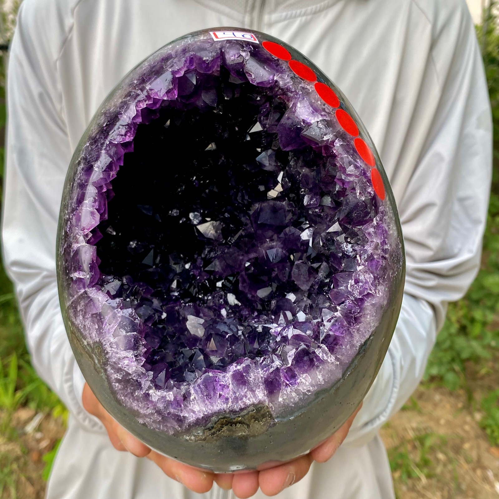 8.79LB Large Natural amethyst Dinosaur egg Quartz Crystal specimen healing