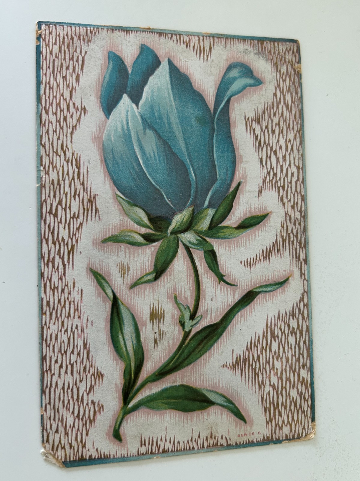 Big Blue Tulip Flower Floral Tulips Postcard