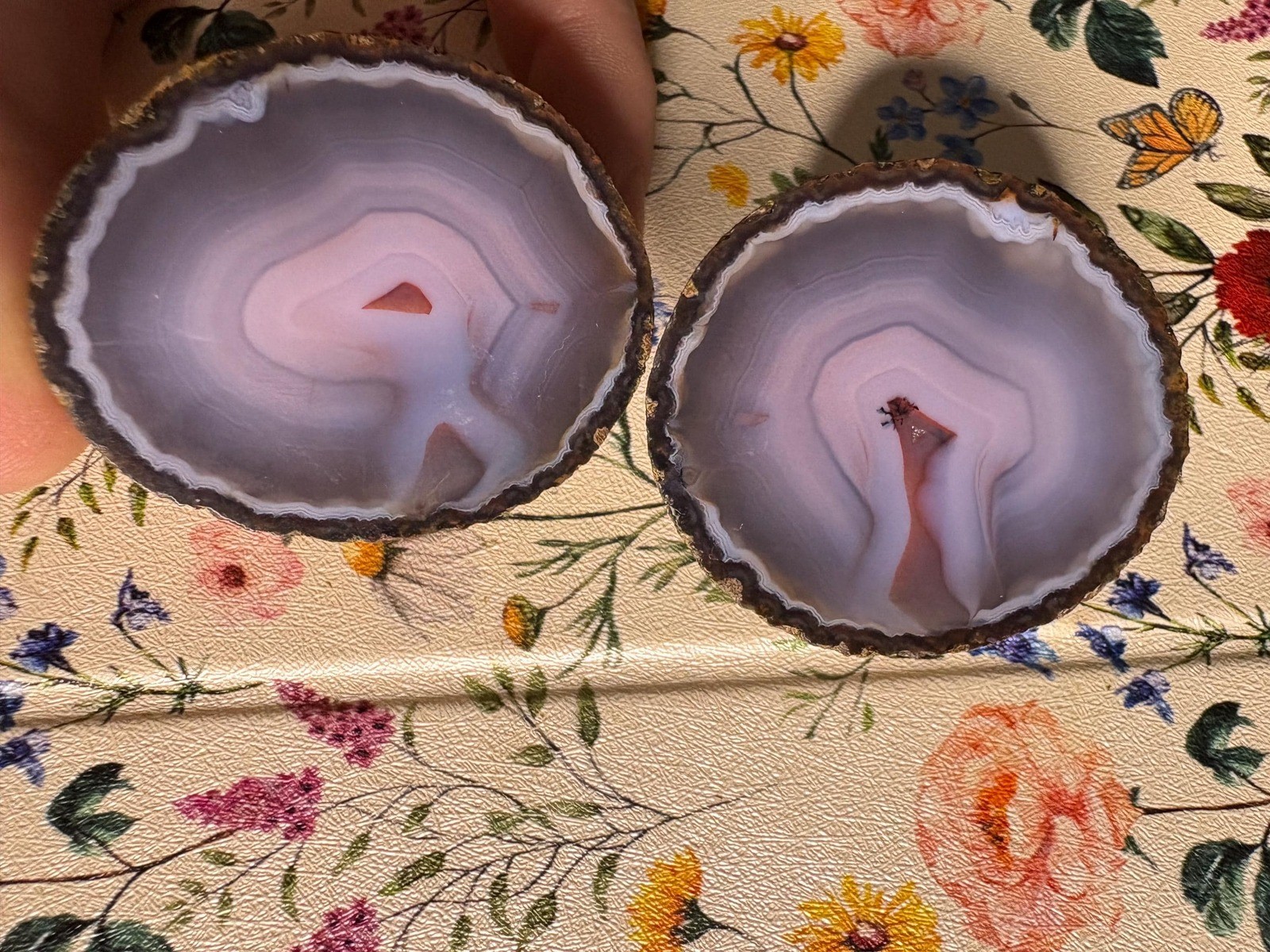 Zhanguo Agate Pair Zhanguo Agate Pair