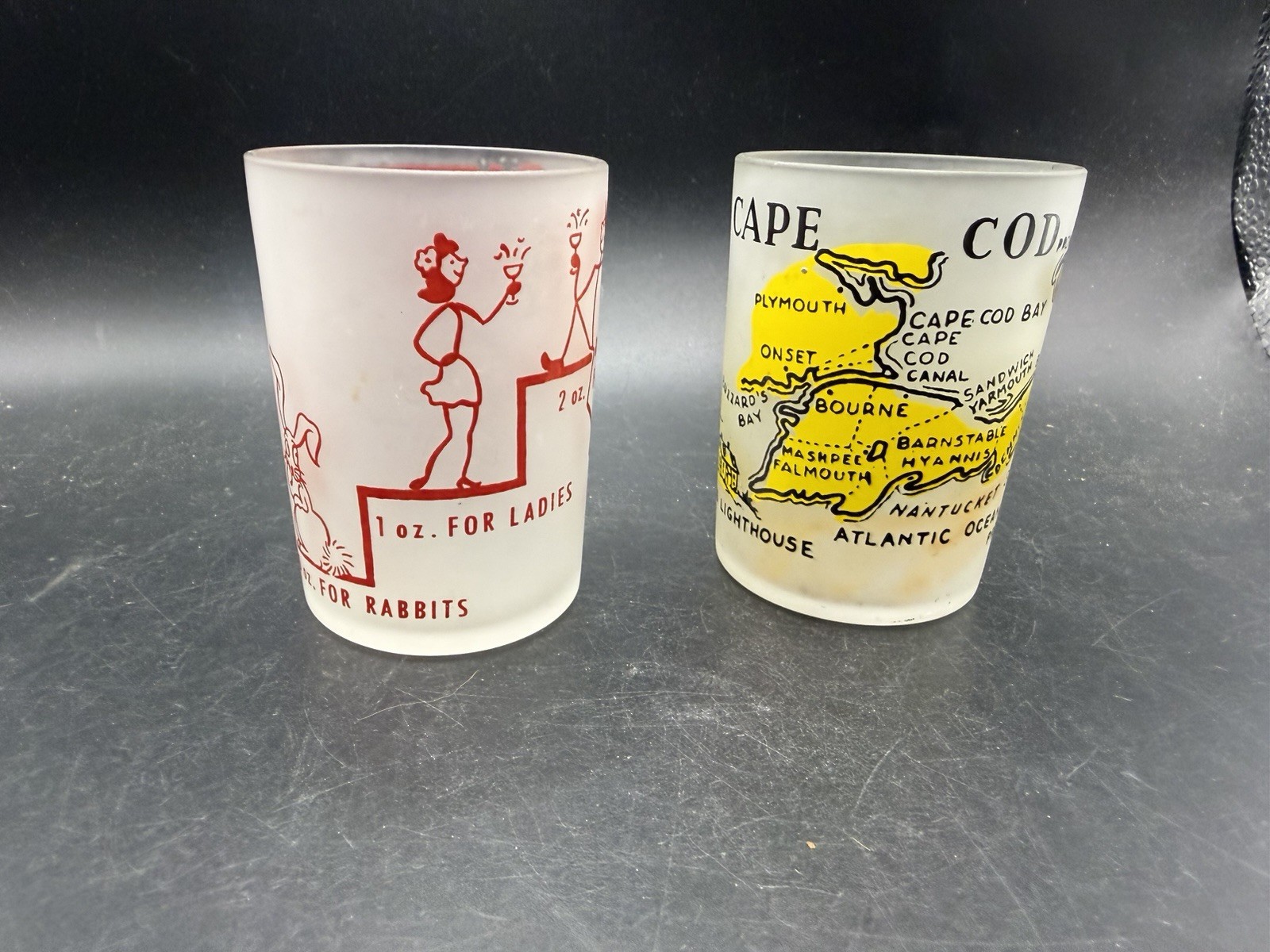 2 Vintage Frosted Glasses Cape Cod Map & Say When Humorous Barware 