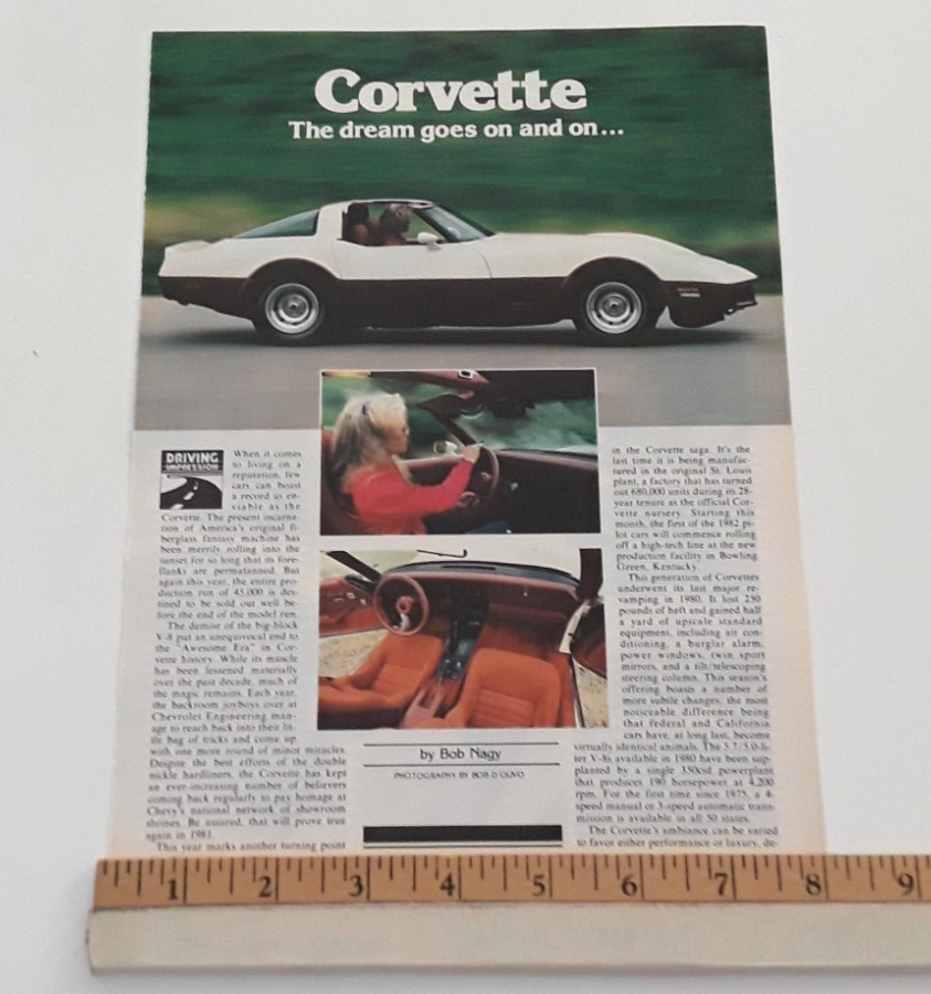 1981 CORVETTE ORIGINAL 1981 ARTICLE
