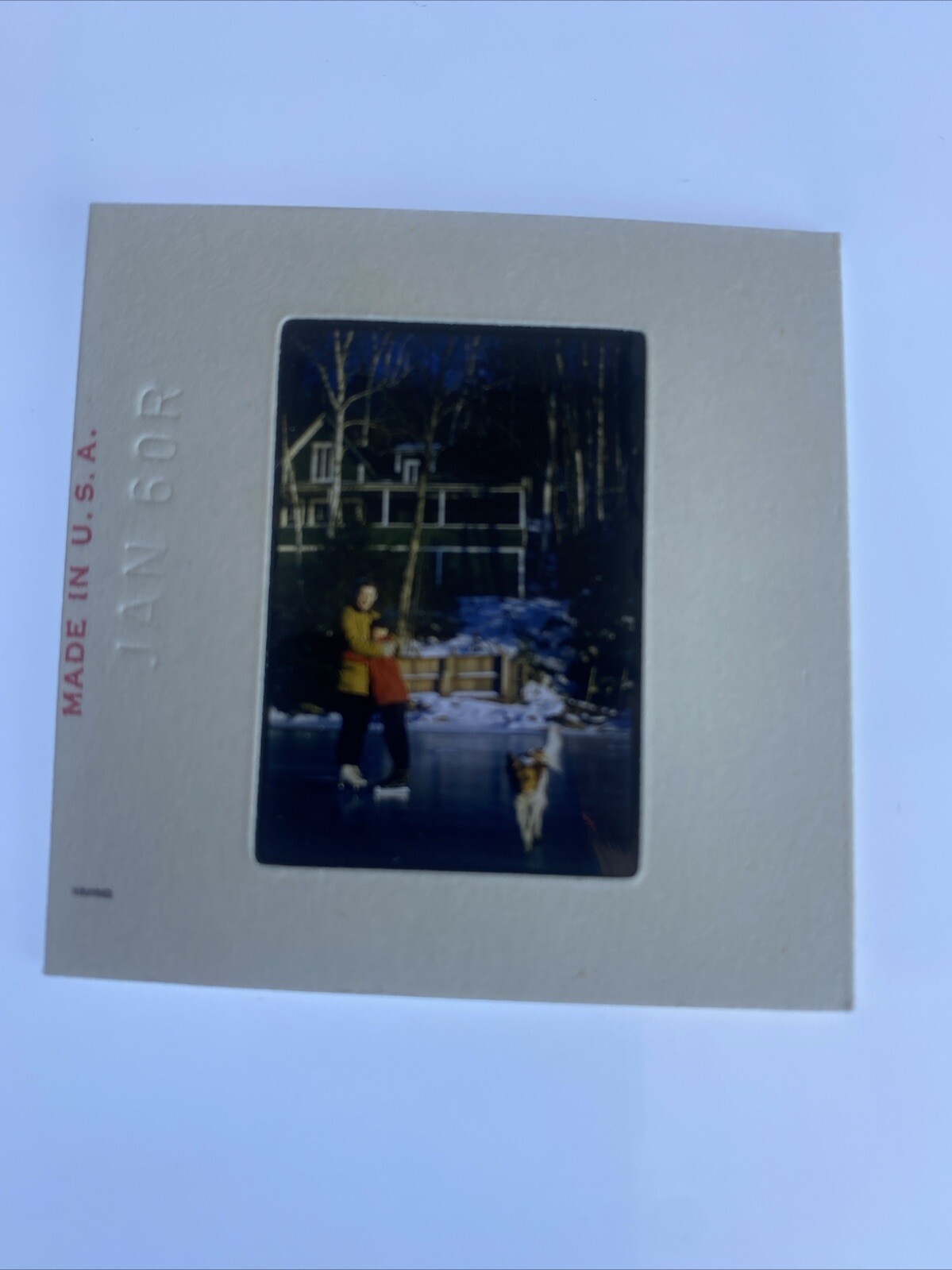 Vtg Ice Skating Frozen Lake 35mm Slide Photo Americana Jan 1960 Dog